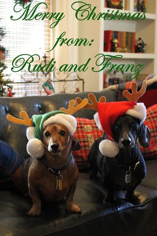 Christmas Home Tour dachshunds