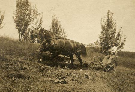 Almanzo working the farm