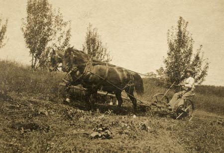 Almanzo working the farm