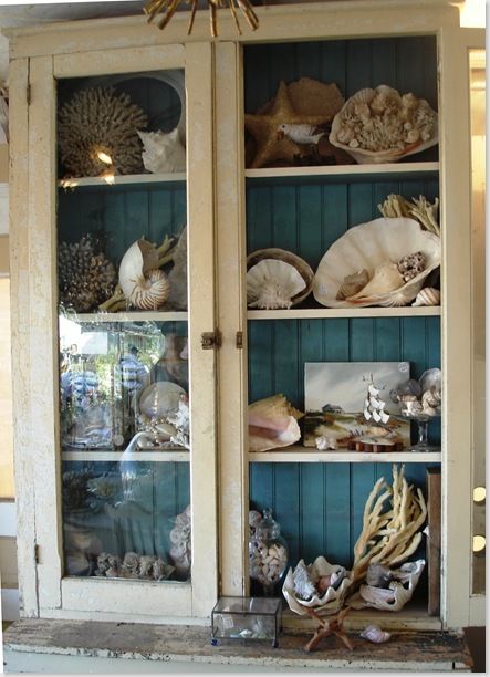 White Cabinet With A Blue Bead Board Background ~ Pretty Way To Display A Shell Collection ...