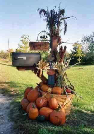 Mailbox for Fall. To see another beautiful Autumn Mailbox, visit: http://unskinnyboppy.com/2012/09/why-do-i-love-fall-dcor-i-cant-kill-it-if-its-already-dead/