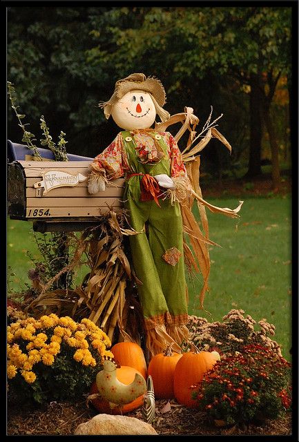 Welcome Fall...An easy mailbox decor to create with corn husks and a welcoming scarecrow!