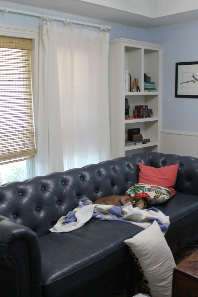 Decor To Adore Real Life Fall Home Tour dog with blanket