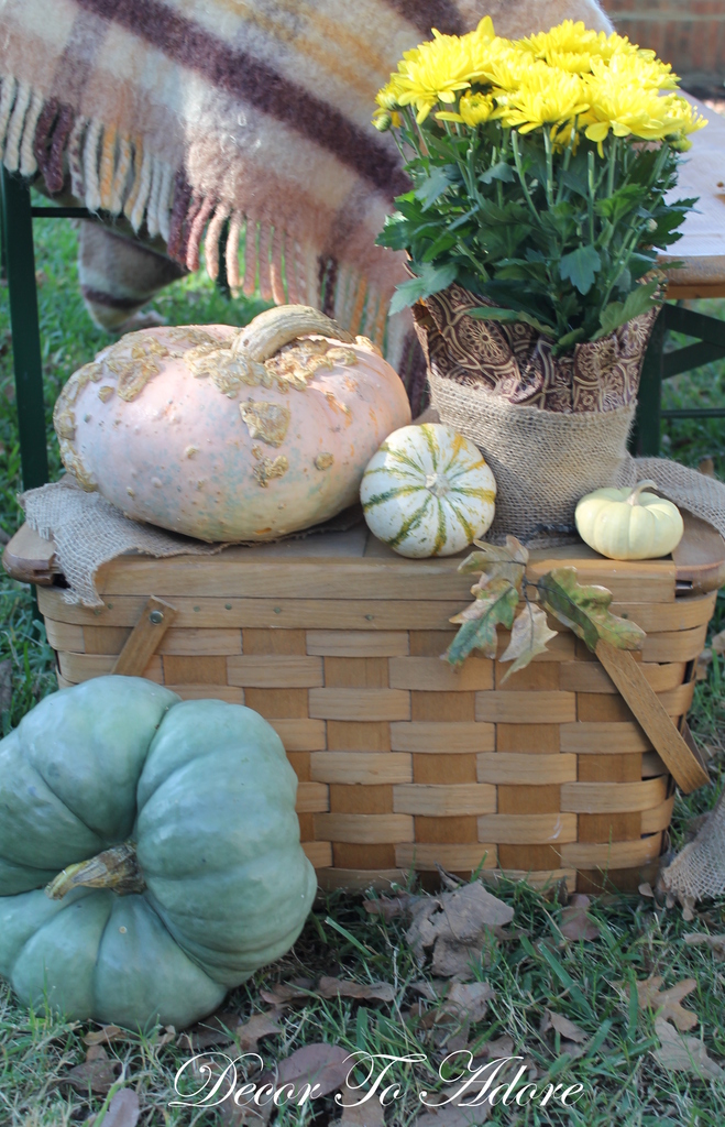 glorious gourds