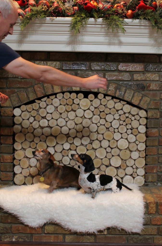 Stacked Birch Log Fireplace Insert blooper