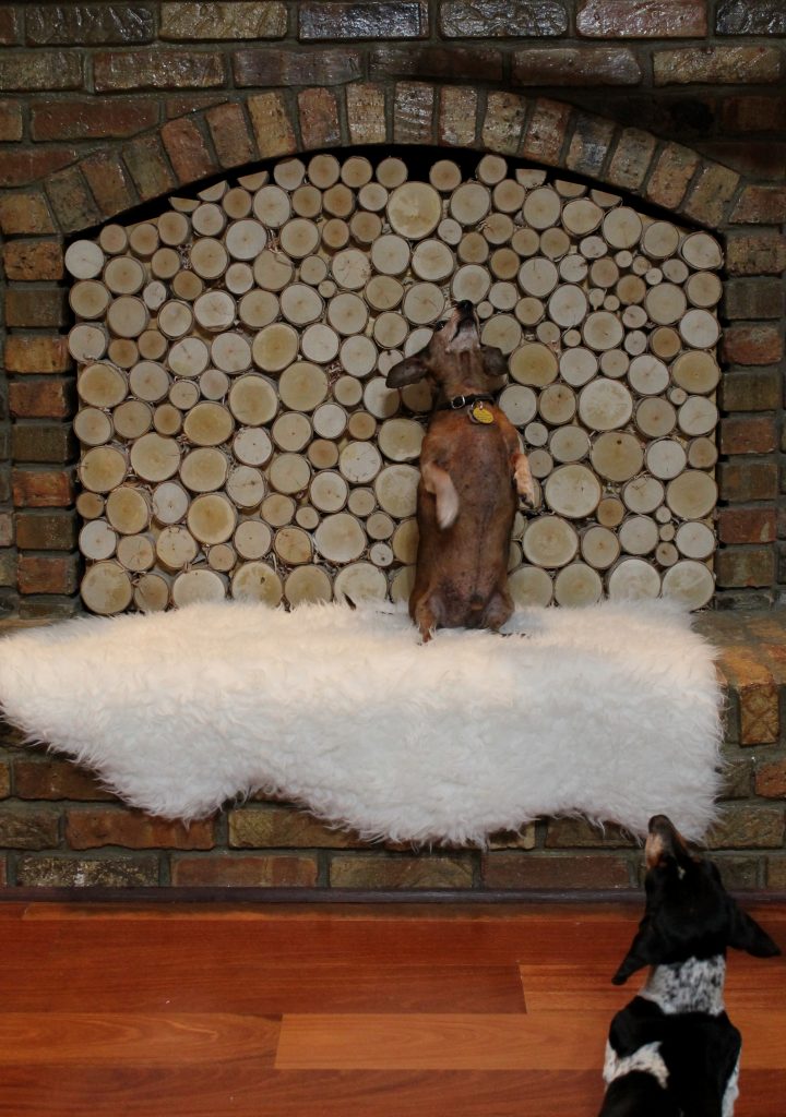 Stacked Birch Log Fireplace Insert Sitting pretty