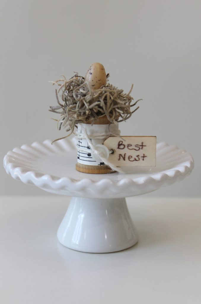 The Best Nest Spring Craft 