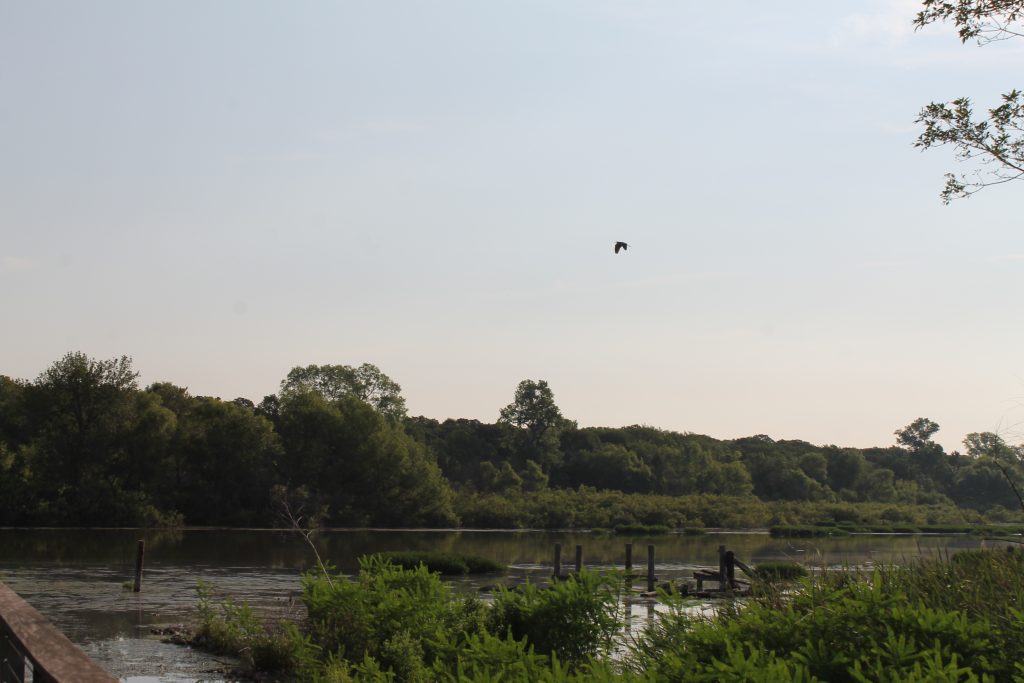 Fort Worth Nature Center boardwalk