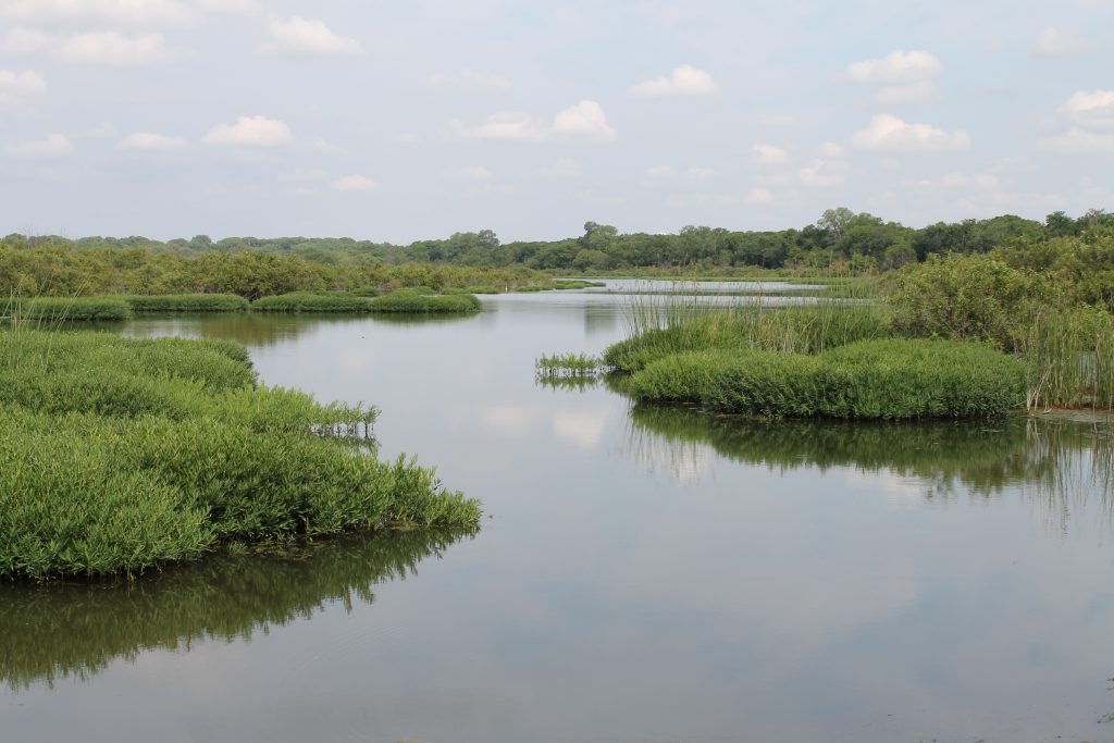 Fort Worth Nature Center boardwalk