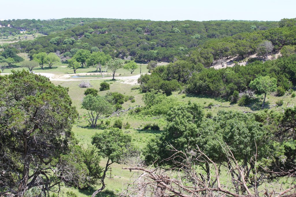 Fossil Rim Animals