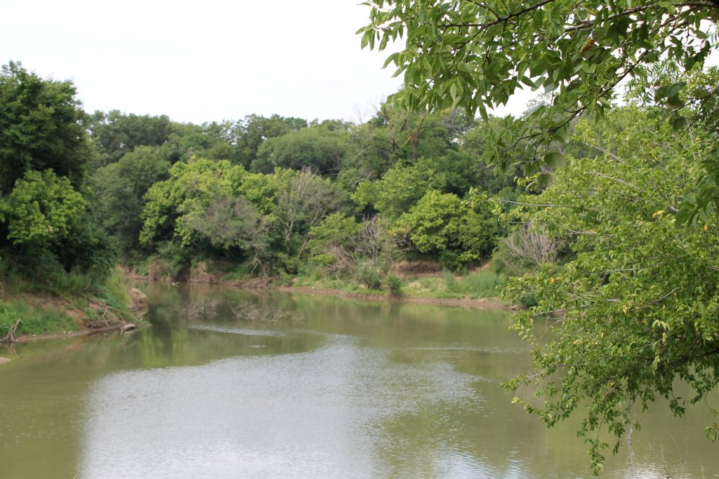 Trinity River Audubon 